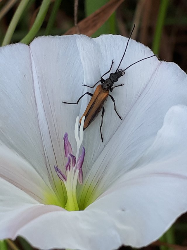 20180611_083726.jpg