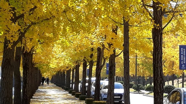20201024_113633.jpg