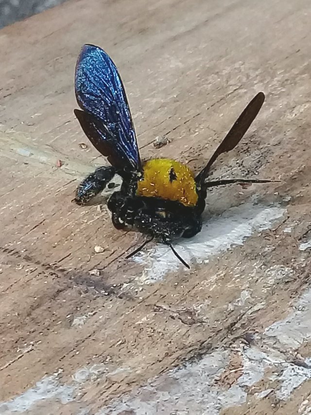 20180911_200212.jpg