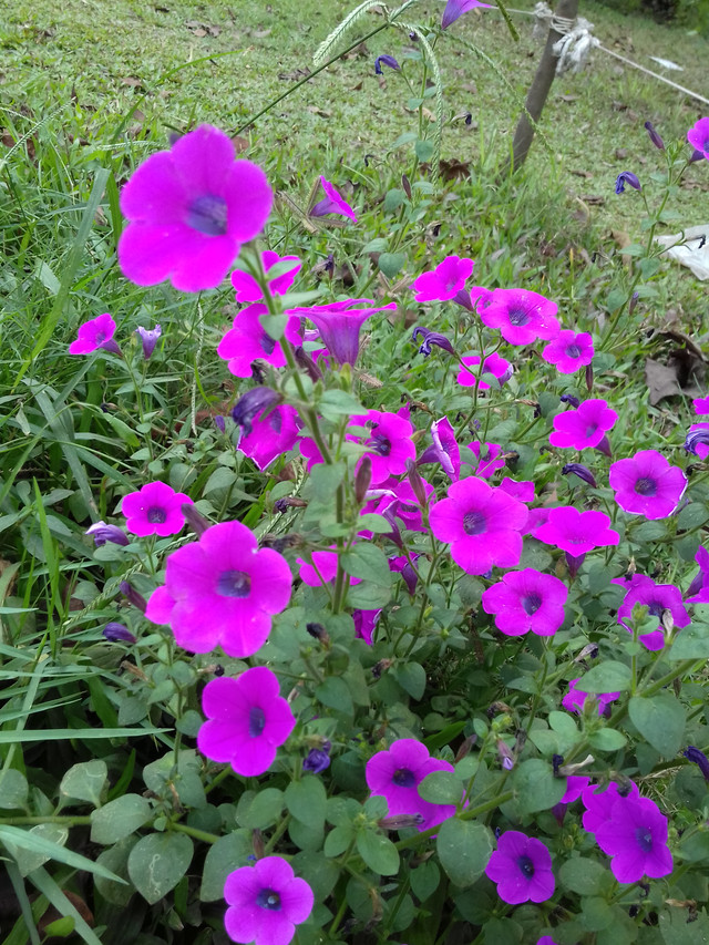 20180323_150239.jpg