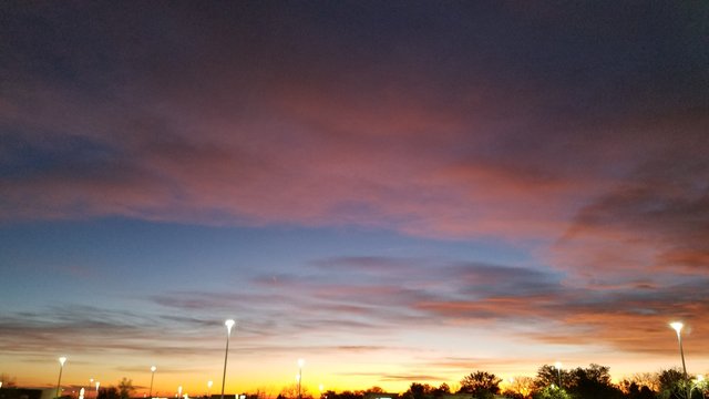 20191016_063905.jpg