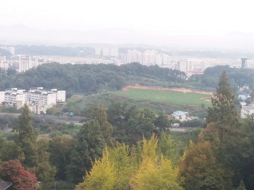 20181009_104721.jpg