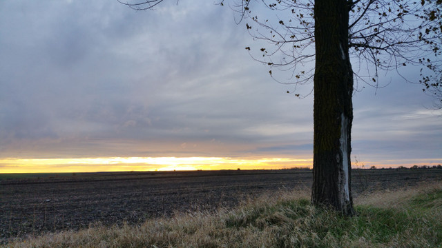 20161027_082439.jpg