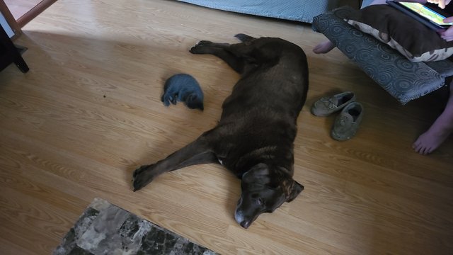 20200705_183748.jpg
