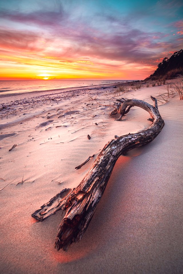 The-Sand-Dragon.jpg
