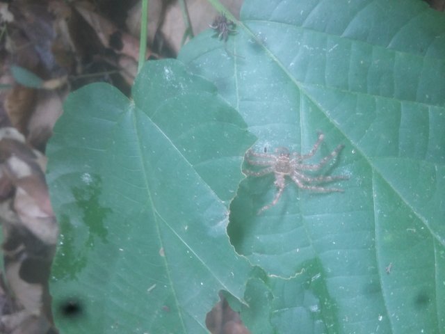 20190517_123222.jpg