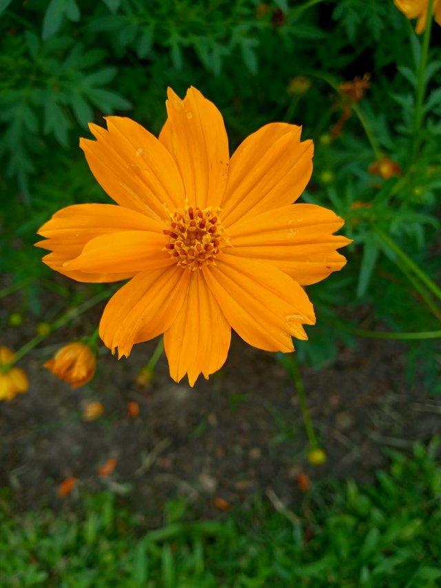 20220529_115636.jpg