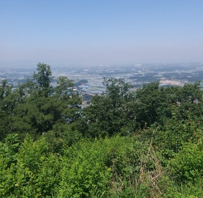 20180609_204256.jpg