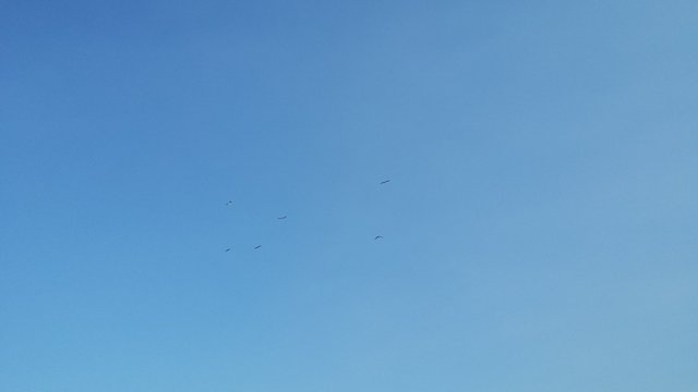 20170726_193244.jpg