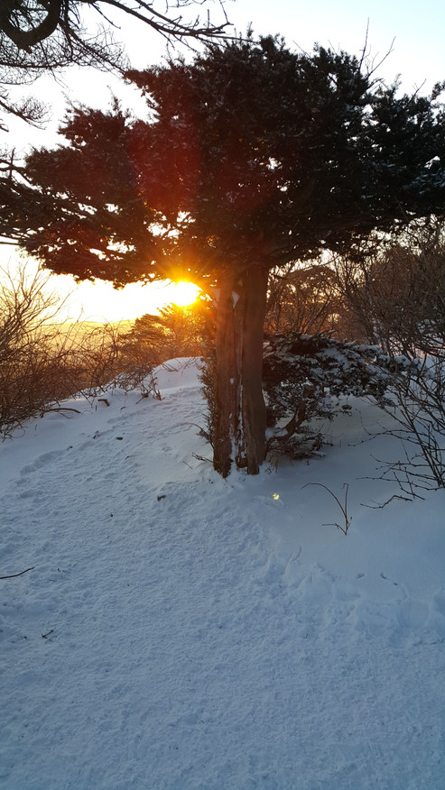 20150212_072957.jpg