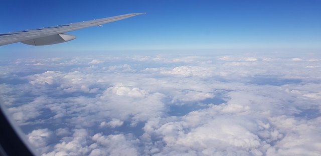 20191202_094630.jpg