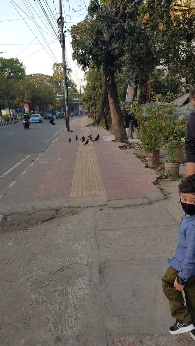 20220219_171359.jpg