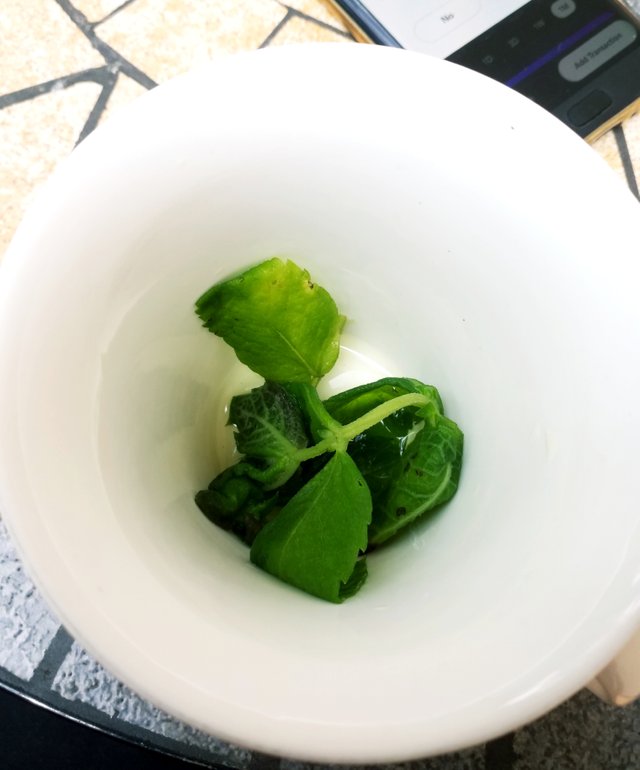 20190910_141603.jpg