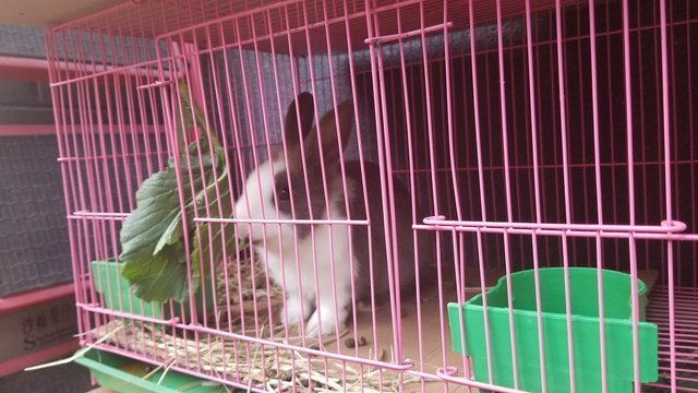 20181013_163829.jpg