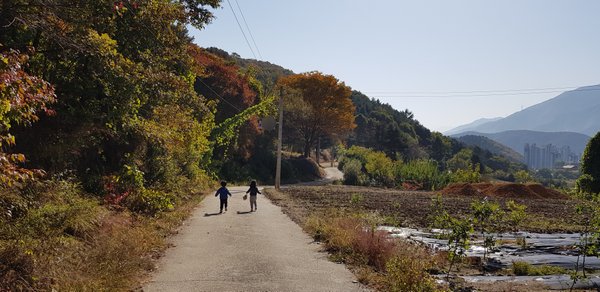 20181023_112615.jpg