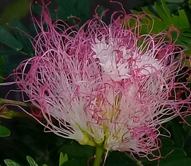 20180920_201257.jpg