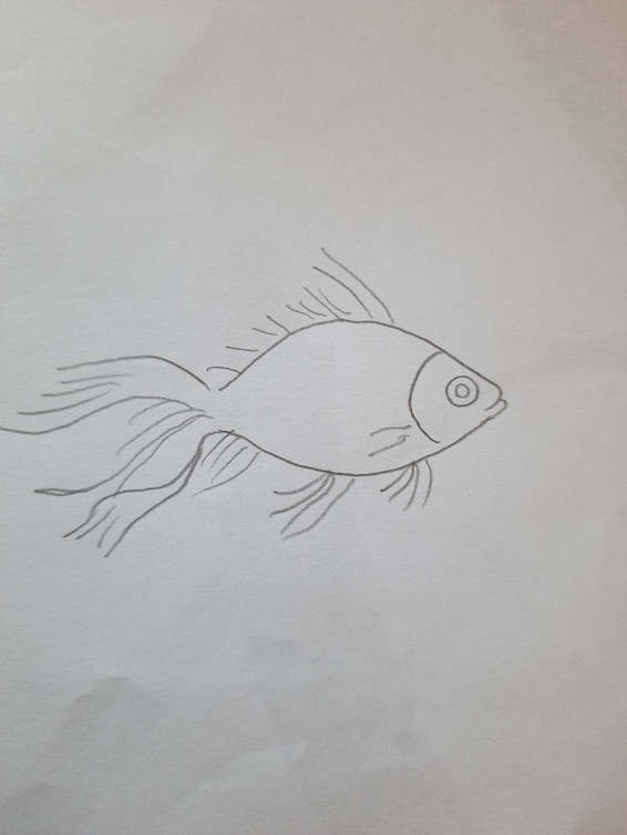 20261014_160912.jpg