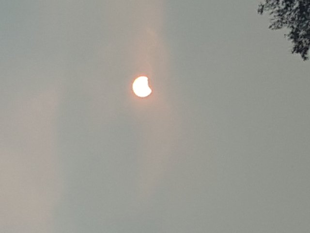 20180201_071654.jpg