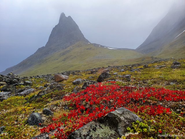 Nallo dalen-2.jpg