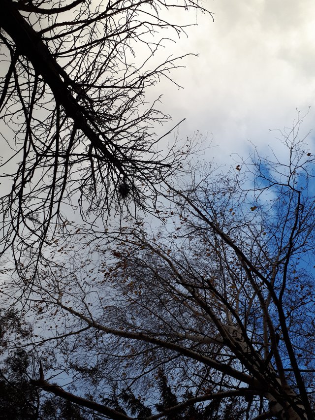 20181205_080507.jpg