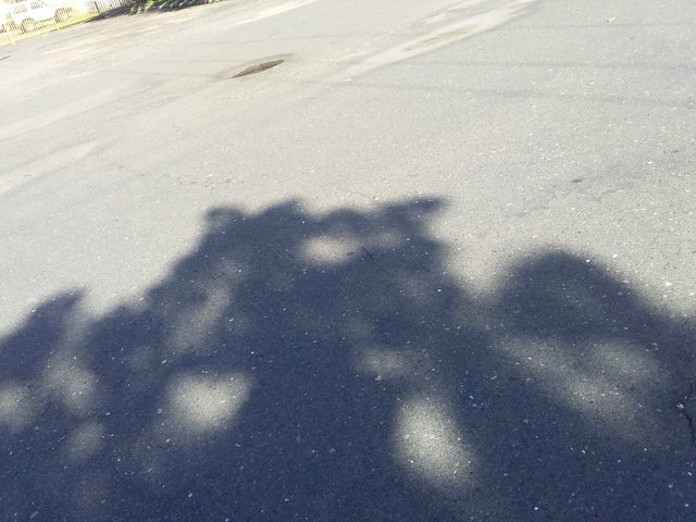 20221018_082919.jpg