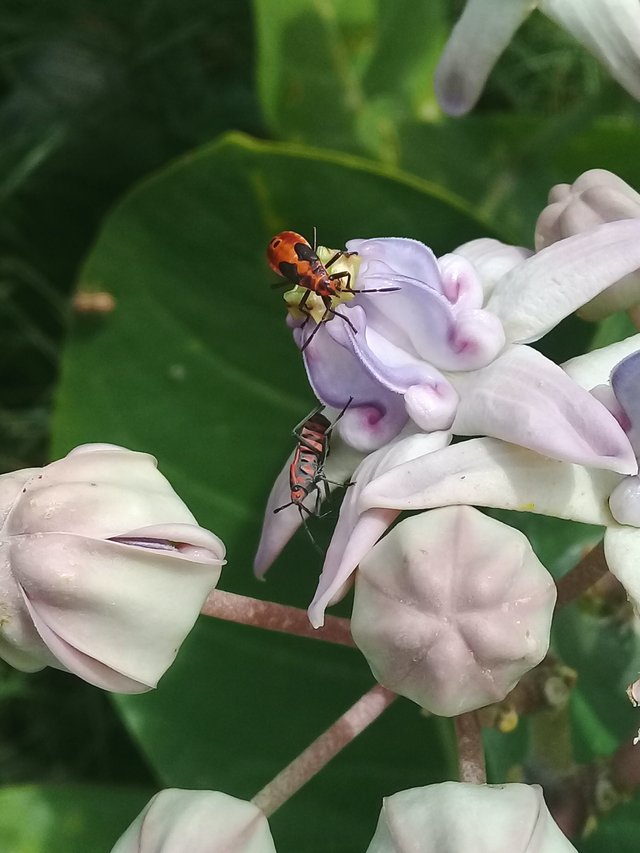 20180628_074112.jpg