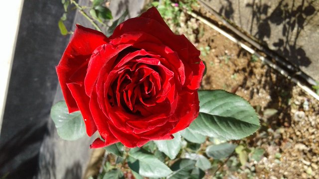 20180427_083108.jpg