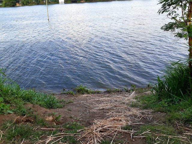 20220815_163331.jpg
