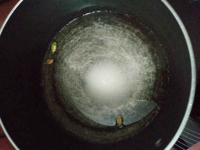 20220302_005116.jpg