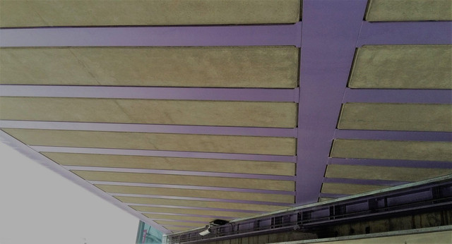 purple bridge.jpg