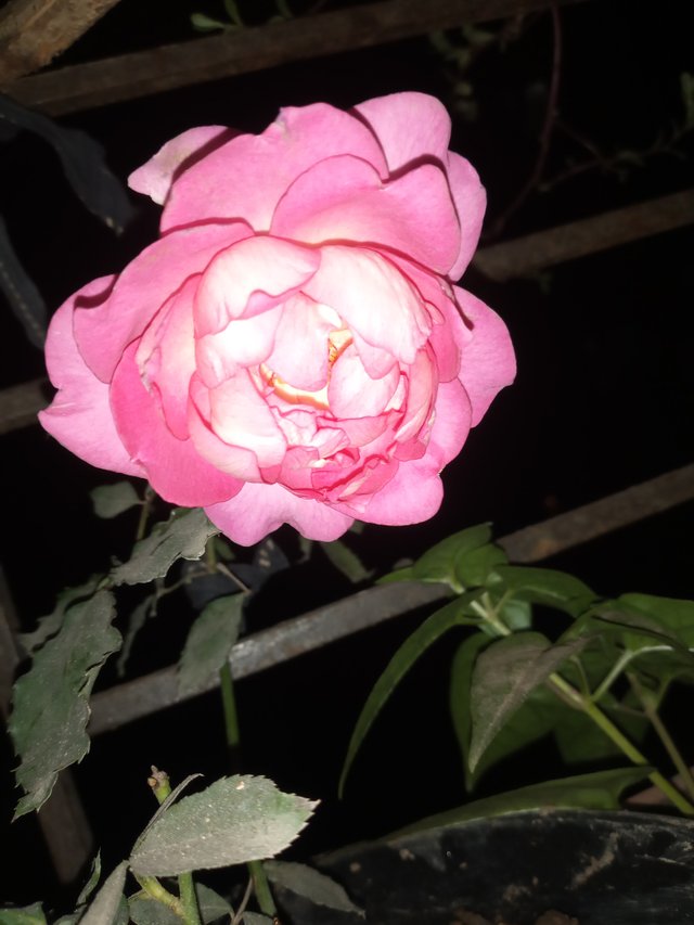 20230216_222541.jpg