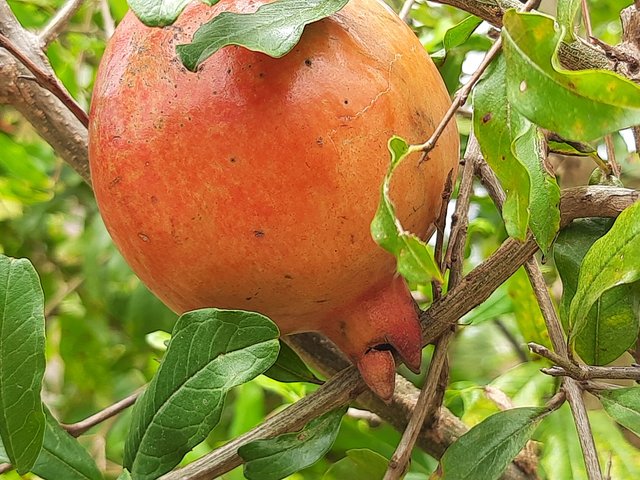 20210616_122857.jpg