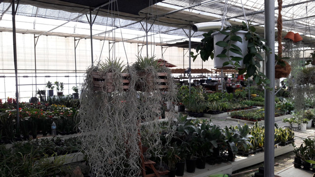20170530_150237.jpg