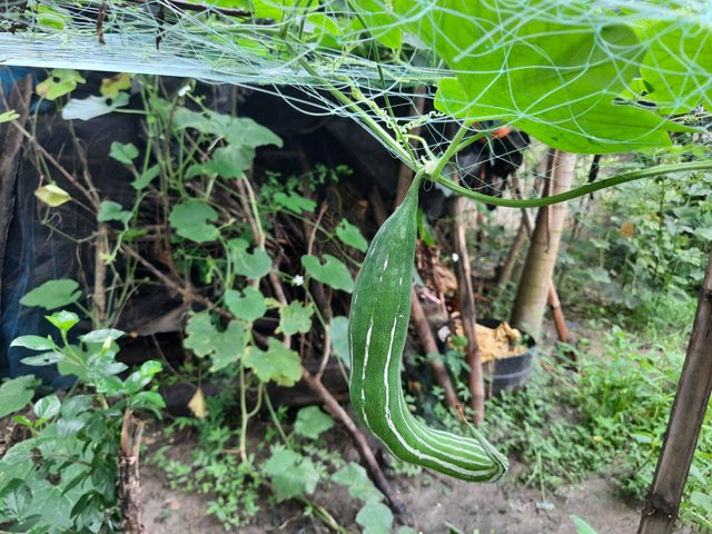 20230801_061727.jpg