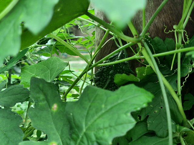 20230731_101329.jpg