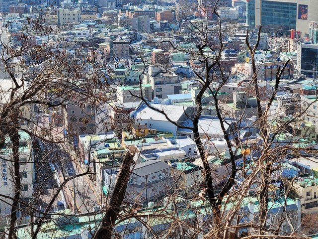20220121_132203.jpg