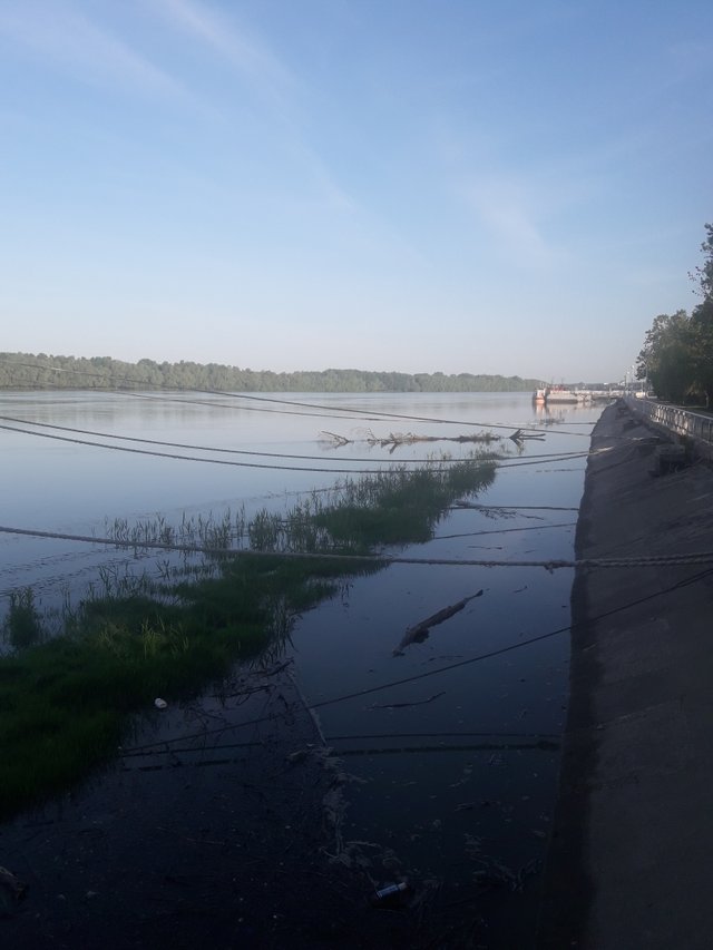 20190527_065808.jpg