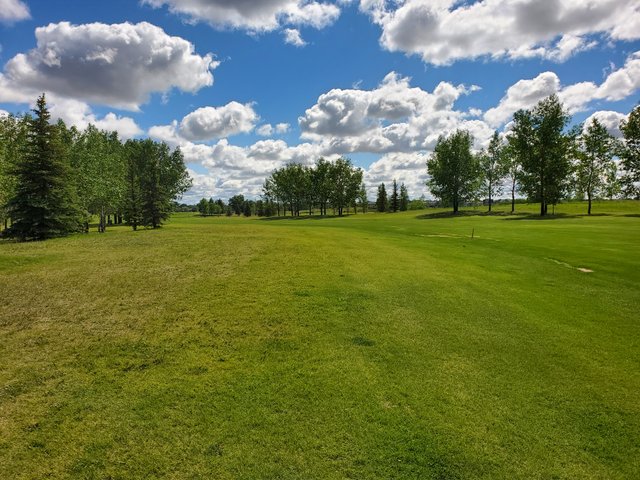 20200621_100809.jpg