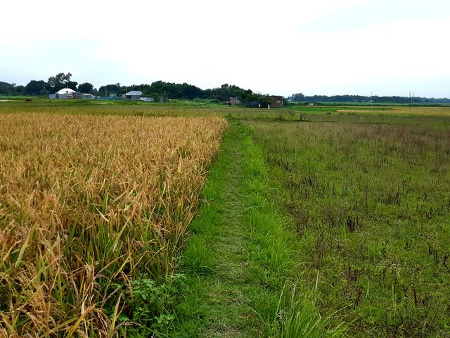 20220521_174412.jpg