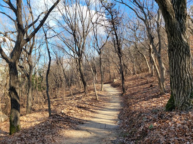20220121_135154.jpg