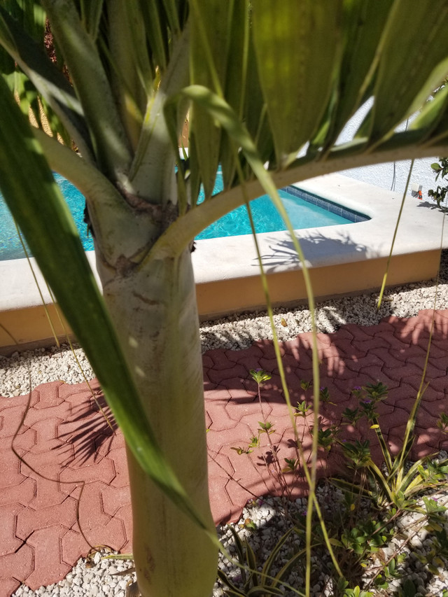 20180225_095953.jpg