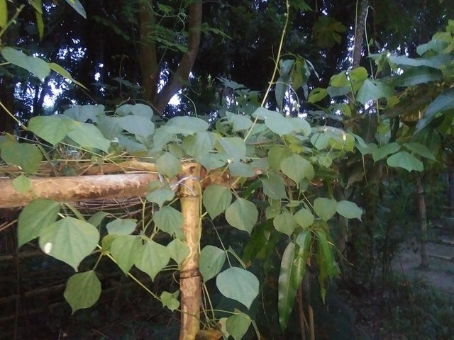 20231003_174742.jpg
