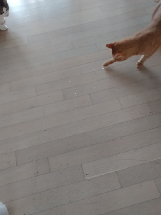20170925_174847.jpg