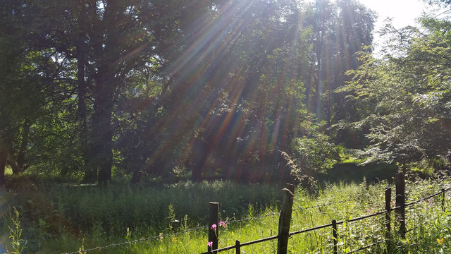 20170617_082348.jpg