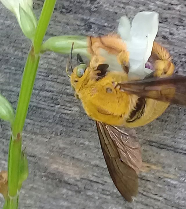 20180912_132804.jpg