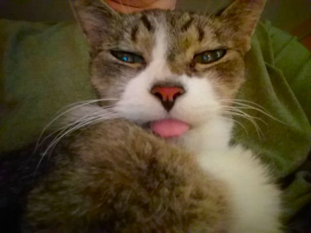 20191217_174453.jpg