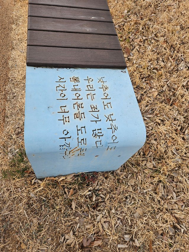20250118_155515.jpg