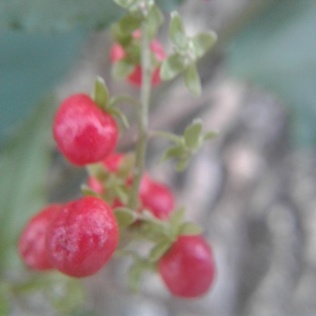 20240103_103451.jpg