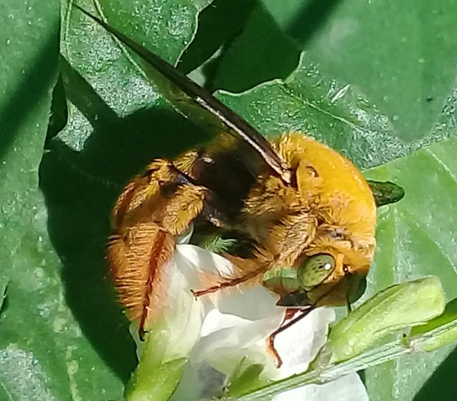 20180912_132601.jpg