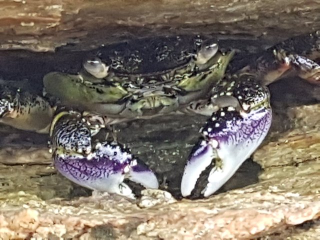 20171222_184910.jpg